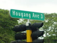 Hougang Avenue 3 #98142